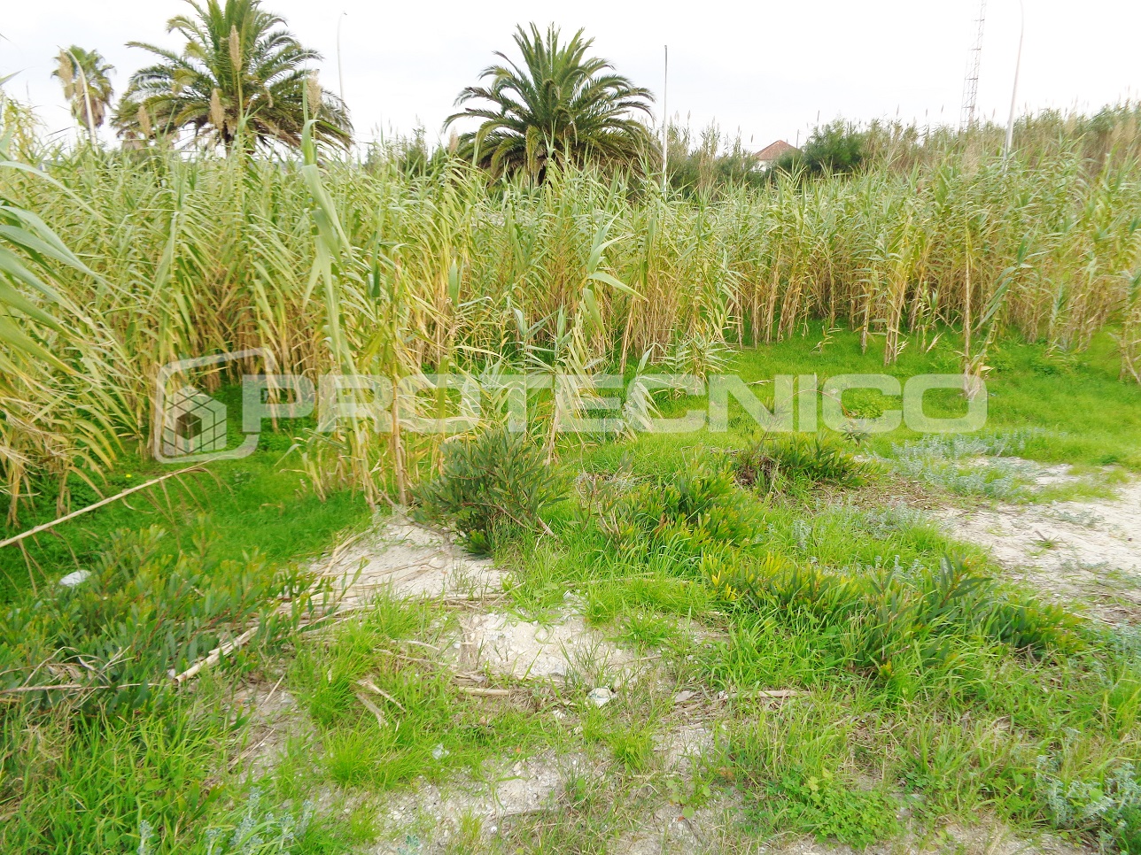 Land for sale in Vagos, Portugal — €400,000